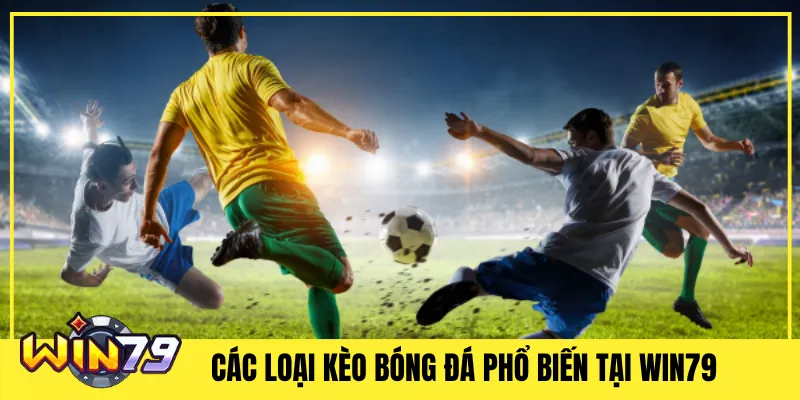 Các Loại Kèo Bóng Đá Phổ Biến Tại Win79