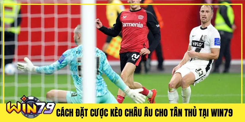 Cách Đặt Cược Kèo Châu Âu  Cho Tân Thủ Tại Win79