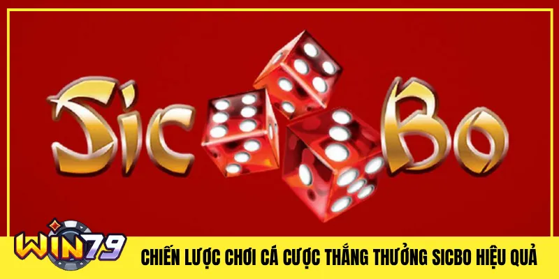Chiến Lược Chơi Cá Cược Thắng Thưởng Sicbo Hiệu Quả