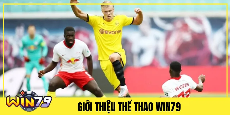 Giới thiệu Thể Thao Win79