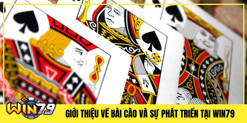 Giới thiệu về bài cào và sự phát triển tại Win79