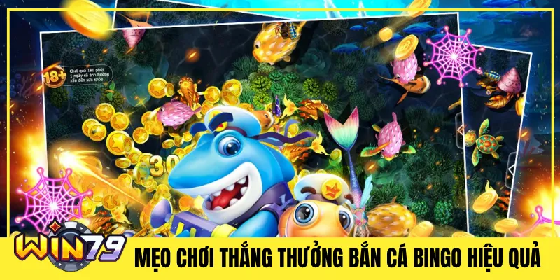 Mẹo Chơi thắng thưởng Bắn Cá Bingo Hiệu Quả