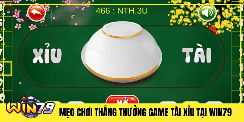 Mẹo Chơi Thắng Thưởng Game Tài Xỉu Tại Win79
