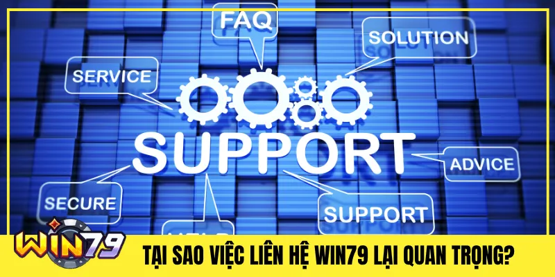 Tại Sao Việc Liên Hệ Win79 Lại Quan Trọng?